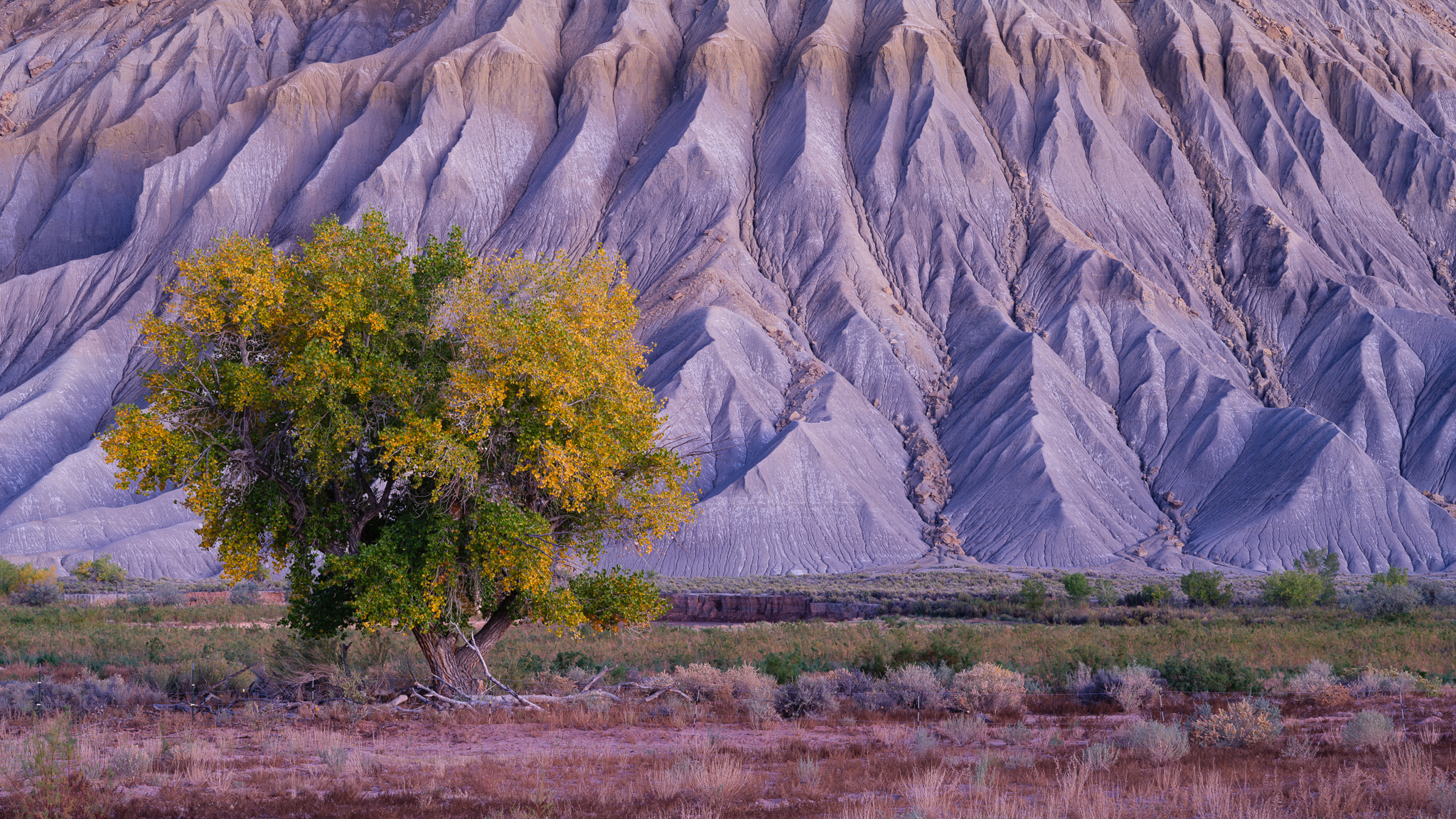 Fall along Blue Mesa
