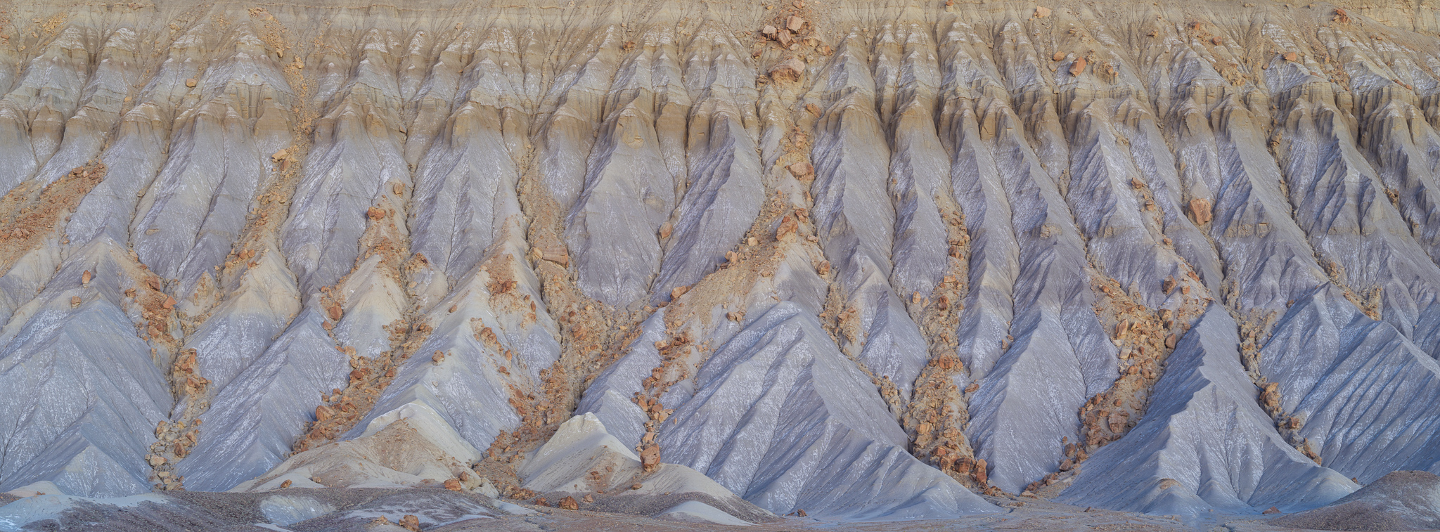 Caineville Mesa Detail