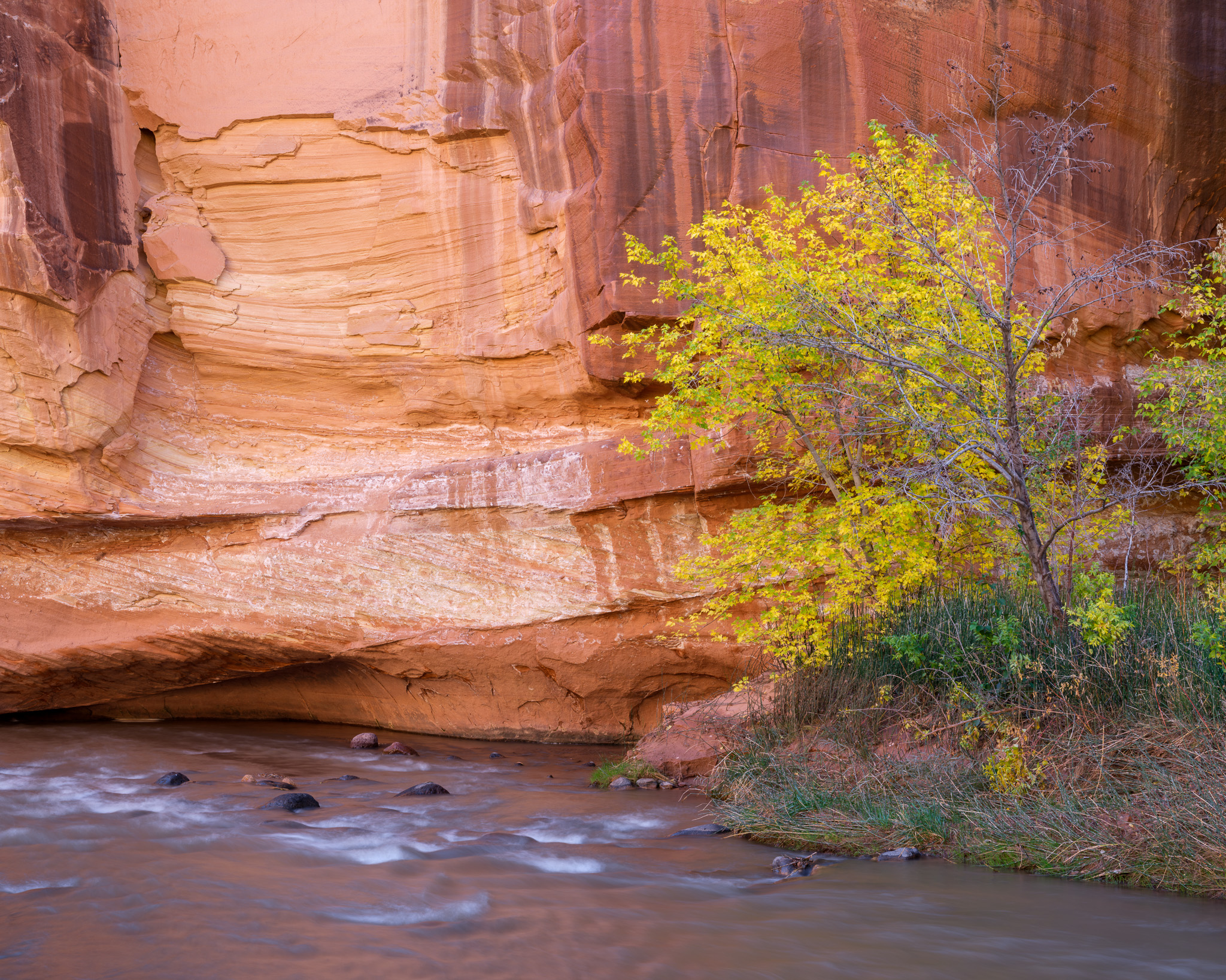 Canyon's Gentle Glow