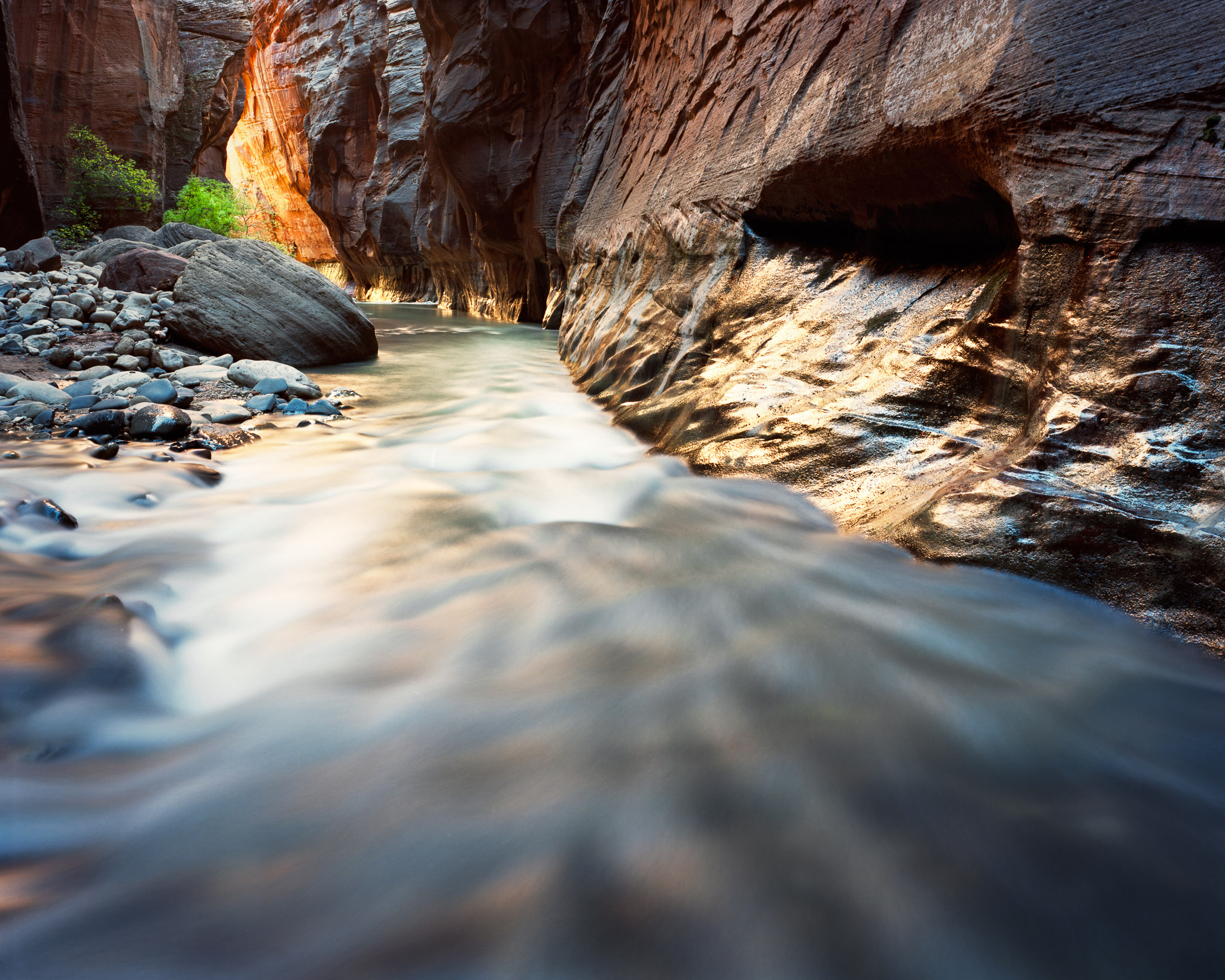 Narrows Reflection