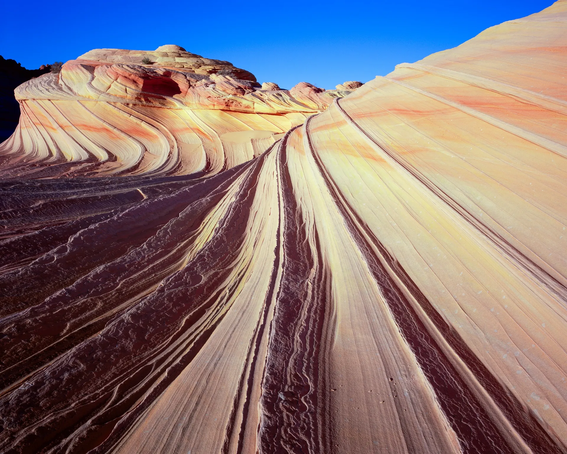The "Second Wave" formation in Coyote Buttes South, Arizona — layered Navajo sandstone that reads as a frozen wave in the last light of the day. Photograph by Marty Quinn