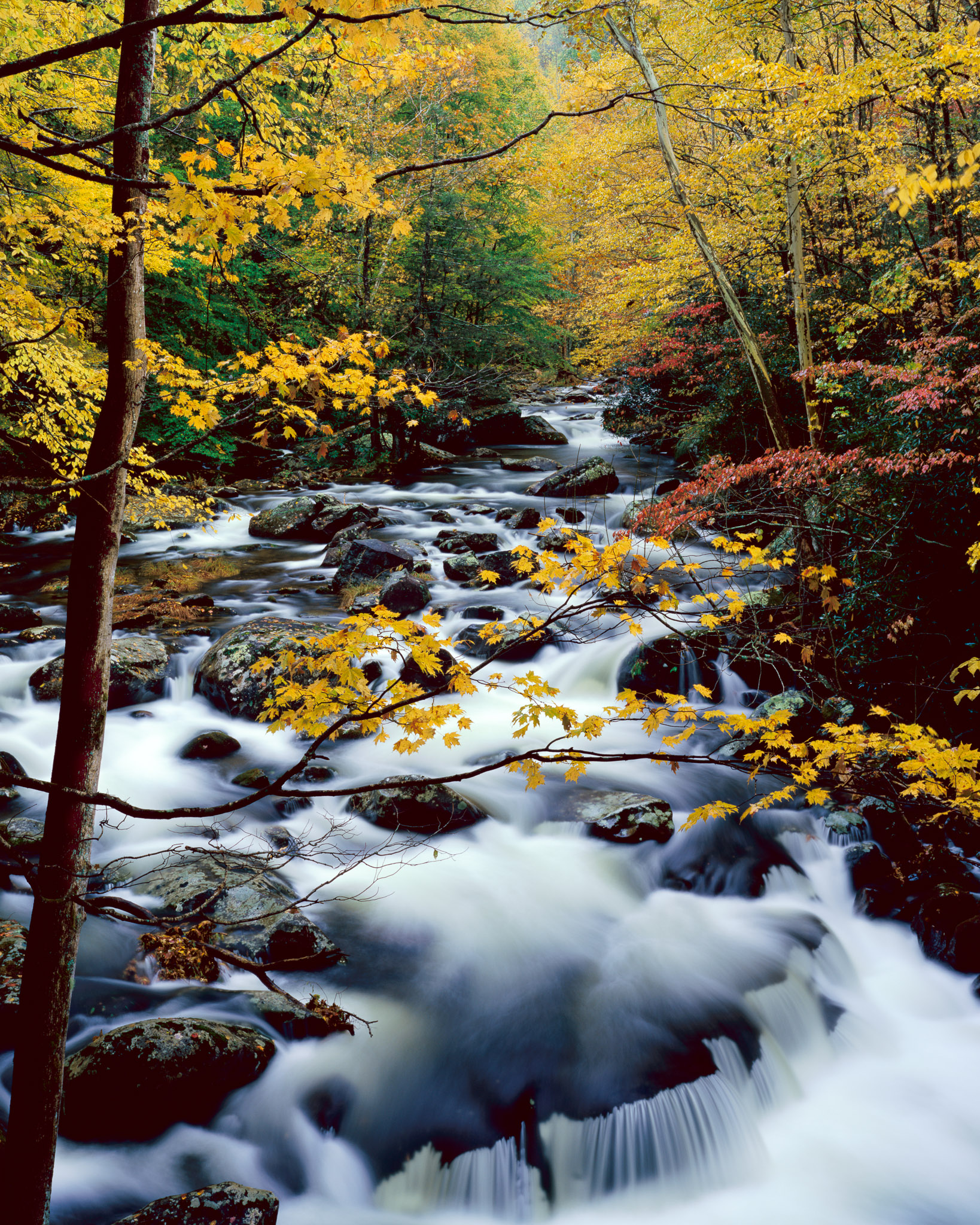 Tremont Cascade